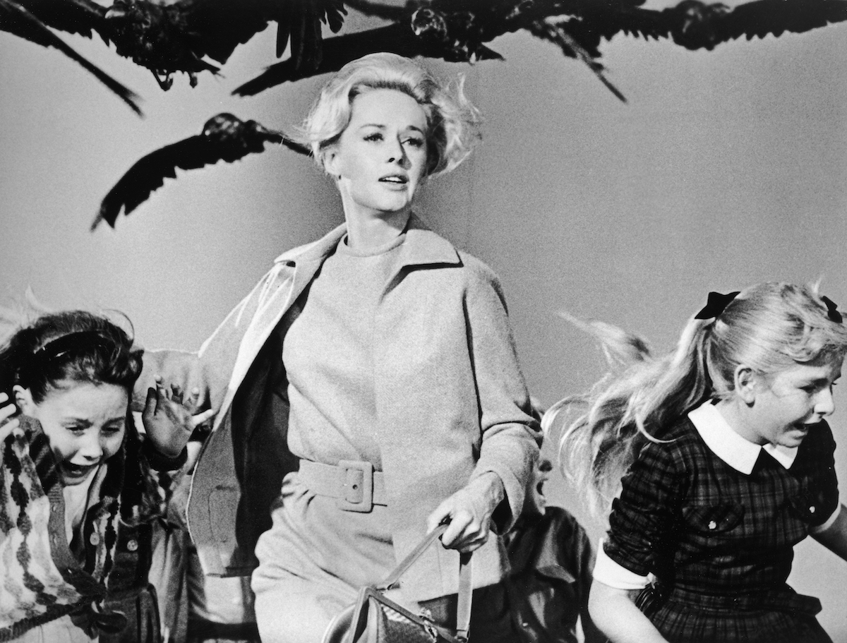 Photo of Alfred Hitchcock’s ‘The Birds’ Was Inspired By a Real-Life Bird Attack in California