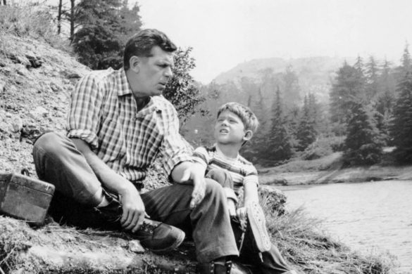 Photo of ‘The Andy Griffith Show’: Andy Griffith Grew Free Christmas Trees for Boy Scouts on a 50-Acre Farm