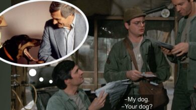 Photo of Alan Alda perfectly explains how meaningful it is to own a family dog
