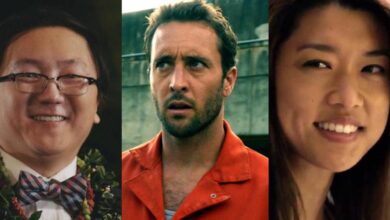 Photo of 10 Best Hawaii Five-0 Characters, Ranked