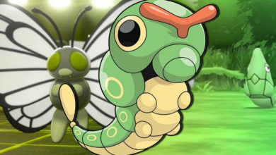 Photo of How to Evolve Your Caterpie in Pokémon Sword & Shield