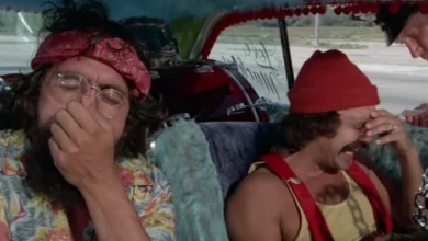Photo of Why Stoner Classic ‘Up in Smoke’ (Still) Offends Us