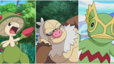 Photo of Pokémon: 10 Hoenn Creatures That Never Made It Into Sword & Shield