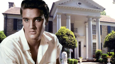 Photo of Elvis ‘never would have left Graceland’ say The King’s family ‘It was meant to be’