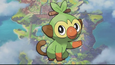 Photo of How to Evolve Your Grookey in Pokémon Sword & Shield