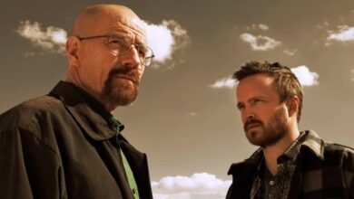Photo of Breaking Bad: 5 Relationships Fans Loved (& 5 They Hated)