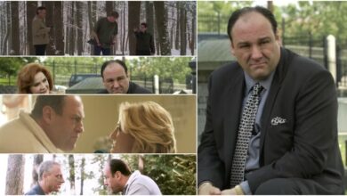 Photo of The Sopranos: 10 Craziest Fan Theories Fans Had About The Finale