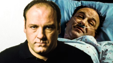 Photo of The Sopranos: How Tony’s Season 6 Coma Dream Set Up The Finale