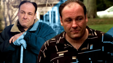Photo of The Sopranos: How Old Was Tony Soprano At Beginning & The End