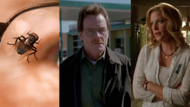 Photo of Breaking Bad: The Best Scenes From The 10 Lowest-Rated Episodes