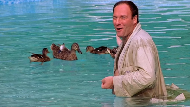 Photo of The Sopranos: Why Tony Is Obsessed With The Ducks