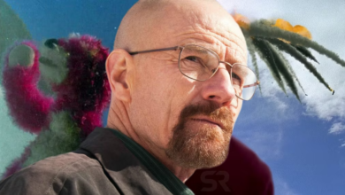 Photo of Breaking Bad: 10 Things You Missed About The Wayfarer 515 Plane Crash