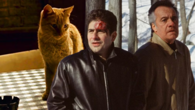 Photo of Sopranos: What The Finale’s Cat Really Means And How It Links To Christopher