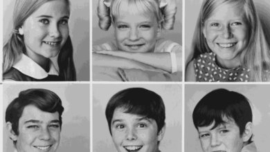 Photo of What casts looked like at the beginning and the end of 20 popular sitcoms
